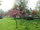 thumbs/parcul_a_pinet_02.jpg.jpg