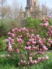 thumbs/parcul_a_pinet_04.jpg.jpg