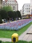 thumbs/piata_victoriei_05.jpg.jpg