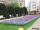 thumbs/piata_victoriei_06.jpg.jpg